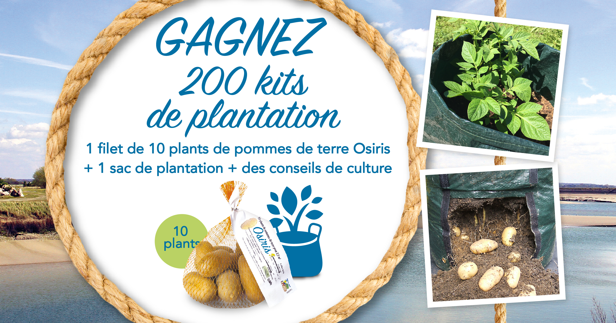 Du 1er au 31 mars 2022, gagnez votre kit de plantation de la pomme de terre  Osiris